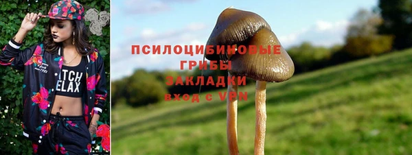 стаф Ладушкин