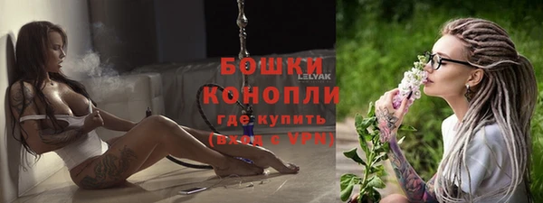 спайс Лагань