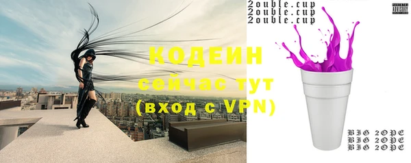 стаф Ладушкин