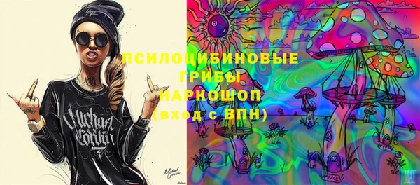 гашик Лабытнанги