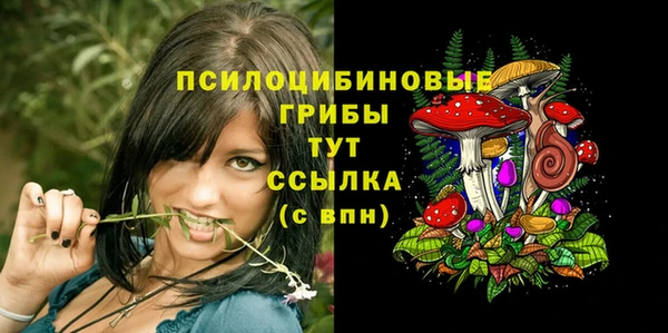 стаф Ладушкин