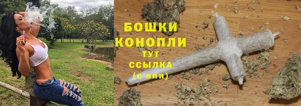 гашик Лабытнанги