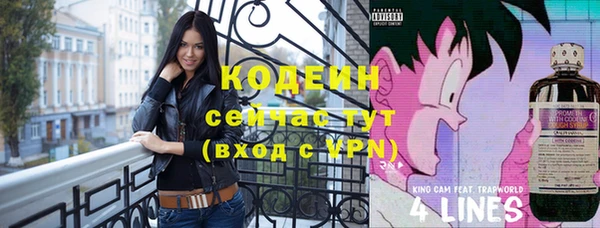 гашик Лабытнанги