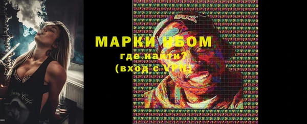 стаф Ладушкин