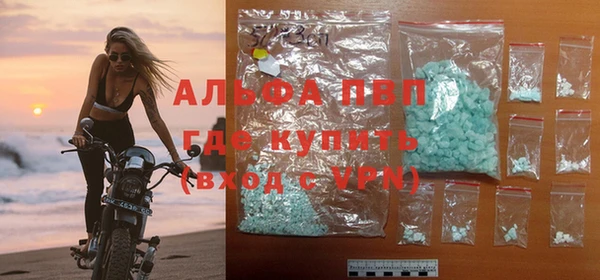 стаф Ладушкин