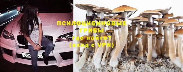 стаф Ладушкин
