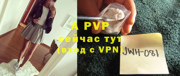 спайс Лагань